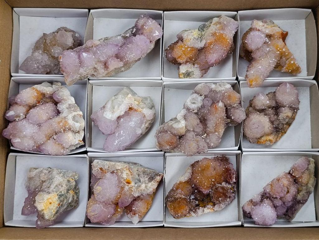 Natural Amethyst and Ametrine Spirit Clusters x 12 From Boekenhouthoek, South Africa