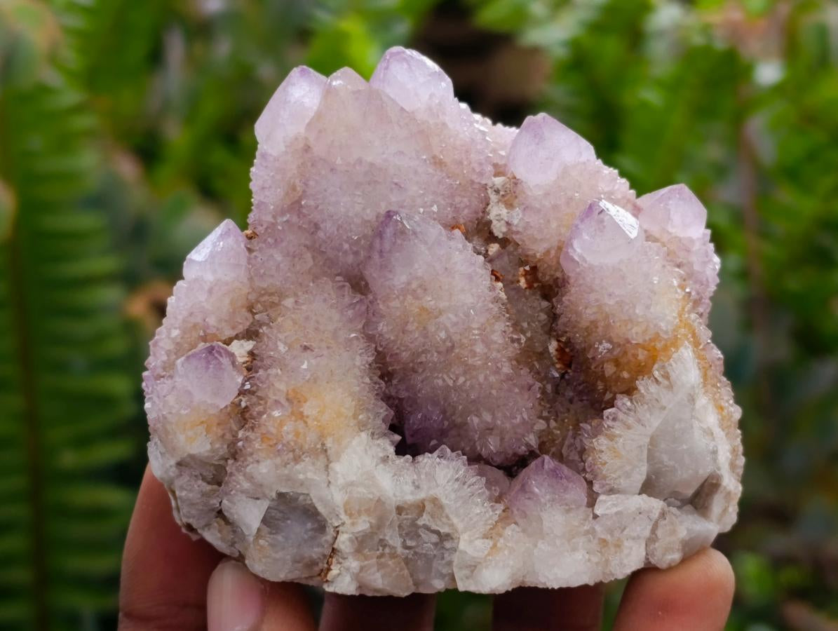 Natural Amethyst and Ametrine Spirit Clusters x 12 From Boekenhouthoek, South Africa