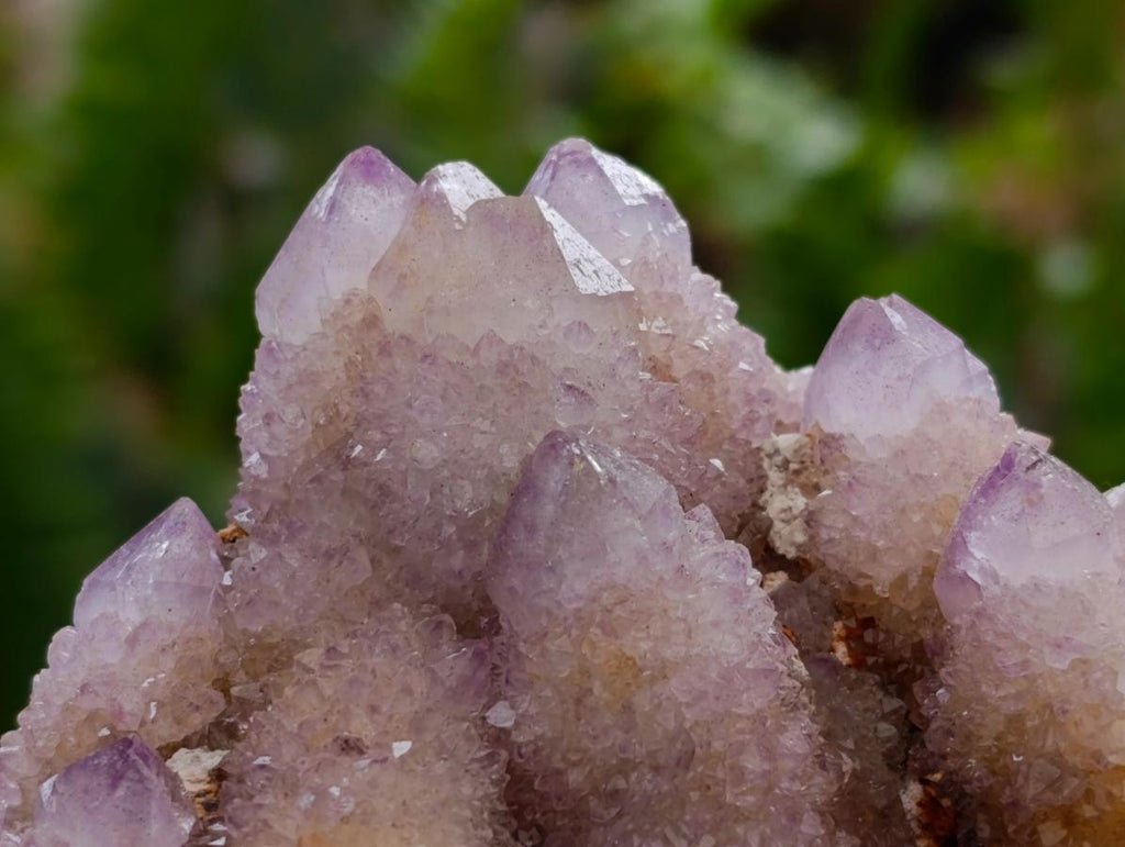 Natural Amethyst and Ametrine Spirit Clusters x 12 From Boekenhouthoek, South Africa
