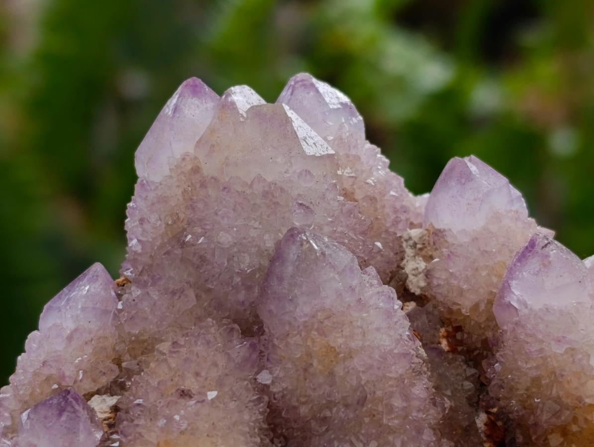 Natural Amethyst and Ametrine Spirit Clusters x 12 From Boekenhouthoek, South Africa