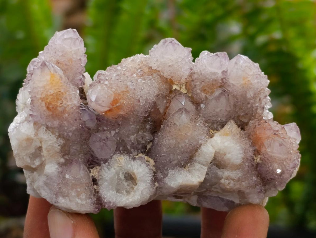 Natural Amethyst and Ametrine Spirit Clusters x 12 From Boekenhouthoek, South Africa