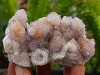 Natural Amethyst and Ametrine Spirit Clusters x 12 From Boekenhouthoek, South Africa