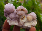 Natural Amethyst and Ametrine Spirit Clusters x 12 From Boekenhouthoek, South Africa