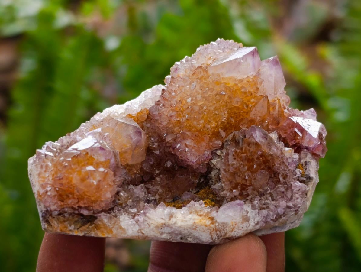 Natural Amethyst and Ametrine Spirit Clusters x 12 From Boekenhouthoek, South Africa