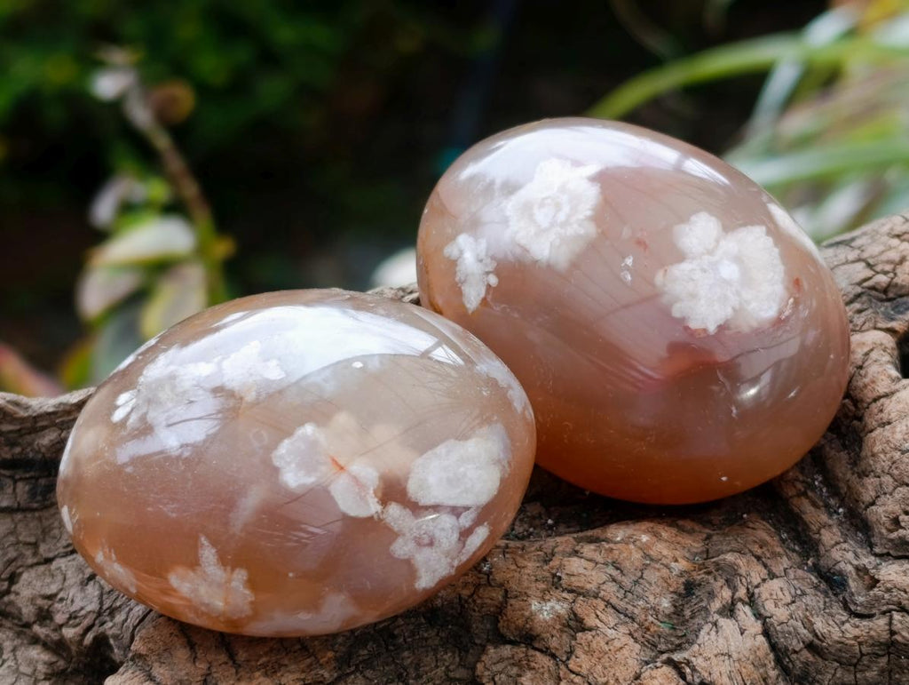 Polished Flower Agate Palm Stones x 20 From Antsahalova, Madagascar