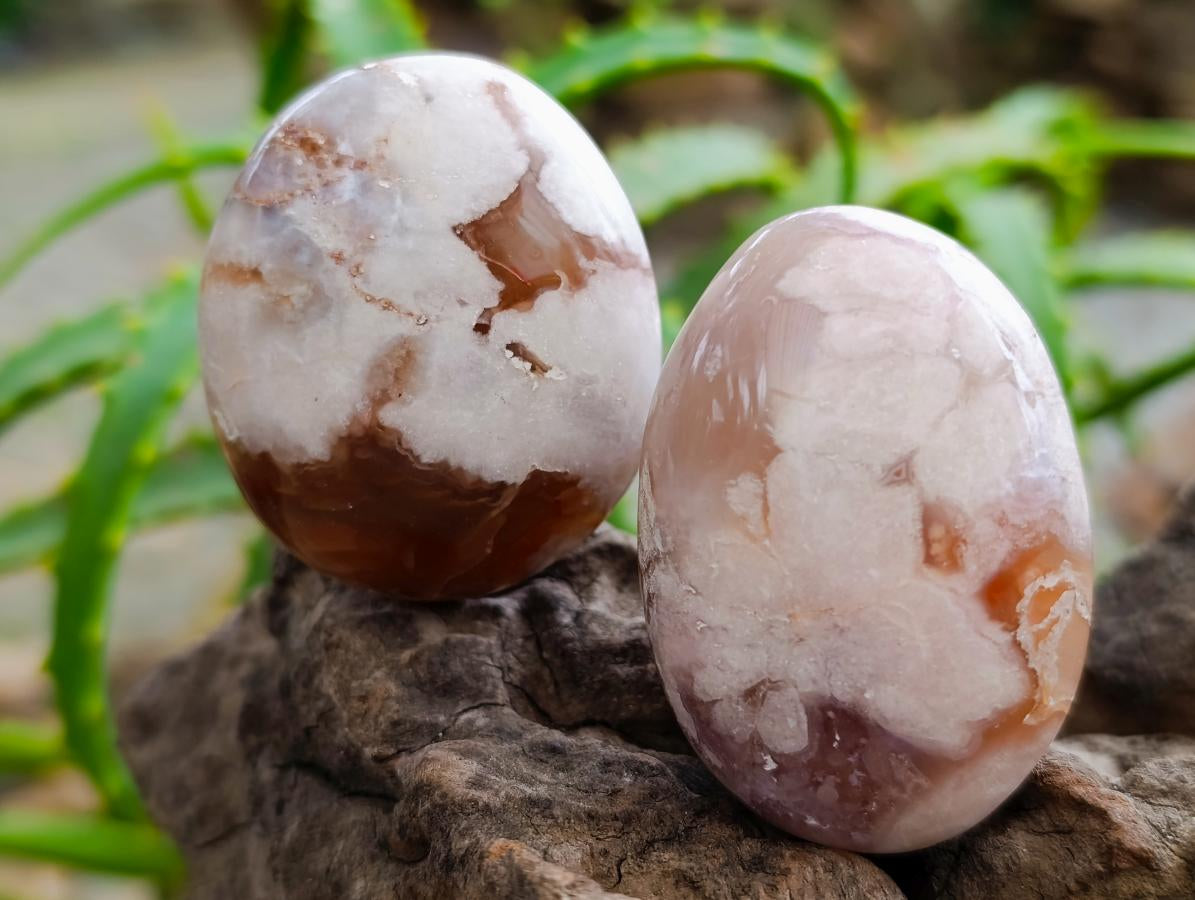Polished Flower Agate Palm Stones x 20 From Antsahalova, Madagascar