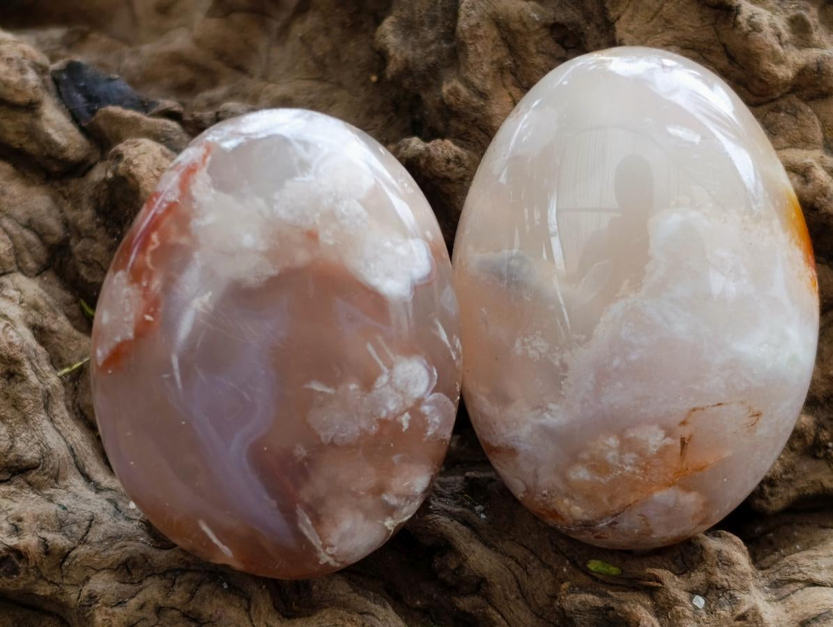 Polished Flower Agate Palm Stones x 20 From Antsahalova, Madagascar