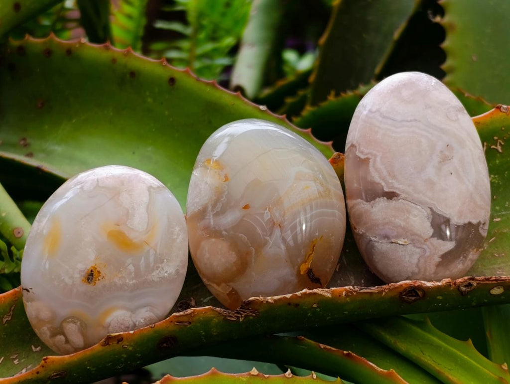 Polished Flower Agate Palm Stones x 20 From Antsahalova, Madagascar
