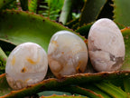 Polished Flower Agate Palm Stones x 20 From Antsahalova, Madagascar
