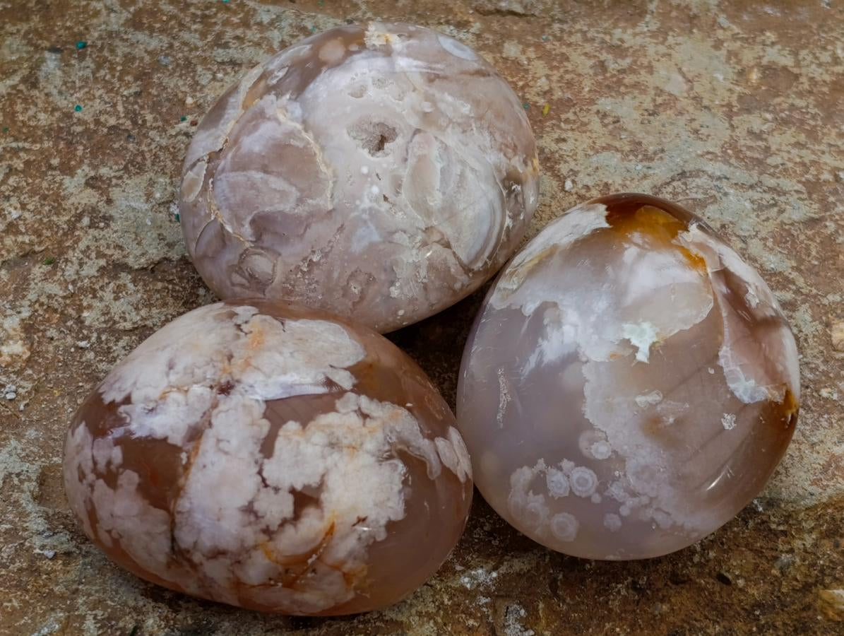 Polished Flower Agate Palm Stones x 20 From Antsahalova, Madagascar