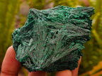 Natural Silky Malachite Specimens x 4 From Kasompe, Congo