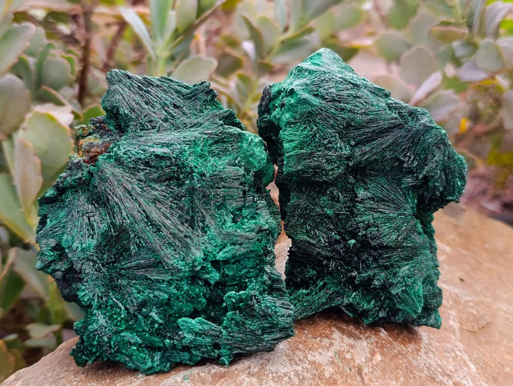 Natural Silky Malachite Specimens x 4 From Kasompe, Congo