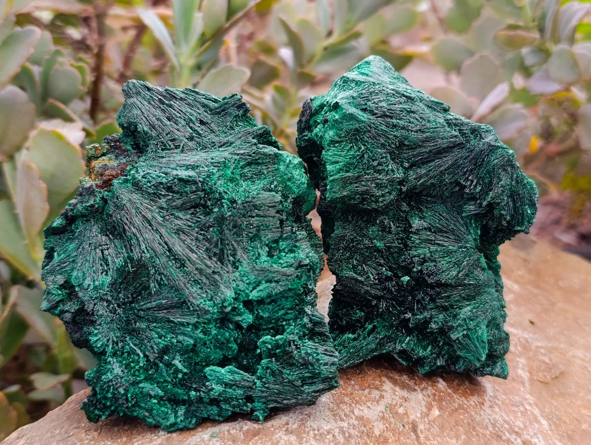 Natural Silky Malachite Specimens x 4 From Kasompe, Congo
