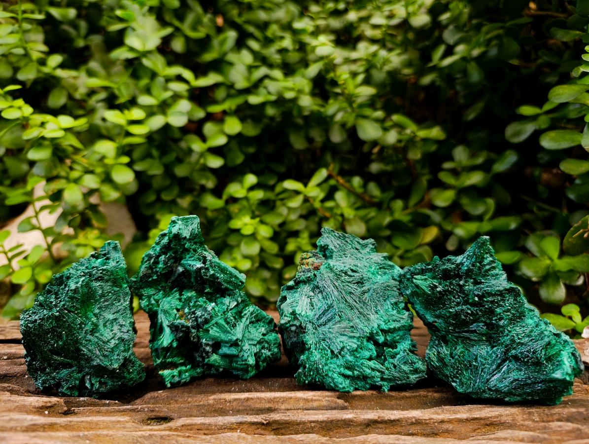 Natural Silky Malachite Specimens x 4 From Kasompe, Congo