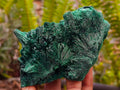 Natural Silky Malachite Specimens x 4 From Kasompe, Congo