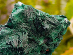 Natural Silky Malachite Specimens x 4 From Kasompe, Congo