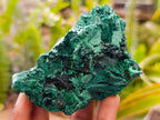 Natural Silky Malachite Specimens x 4 From Kasompe, Congo