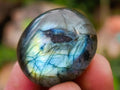Polished Rounded Labradorite Free Forms x 70 From Madagascar