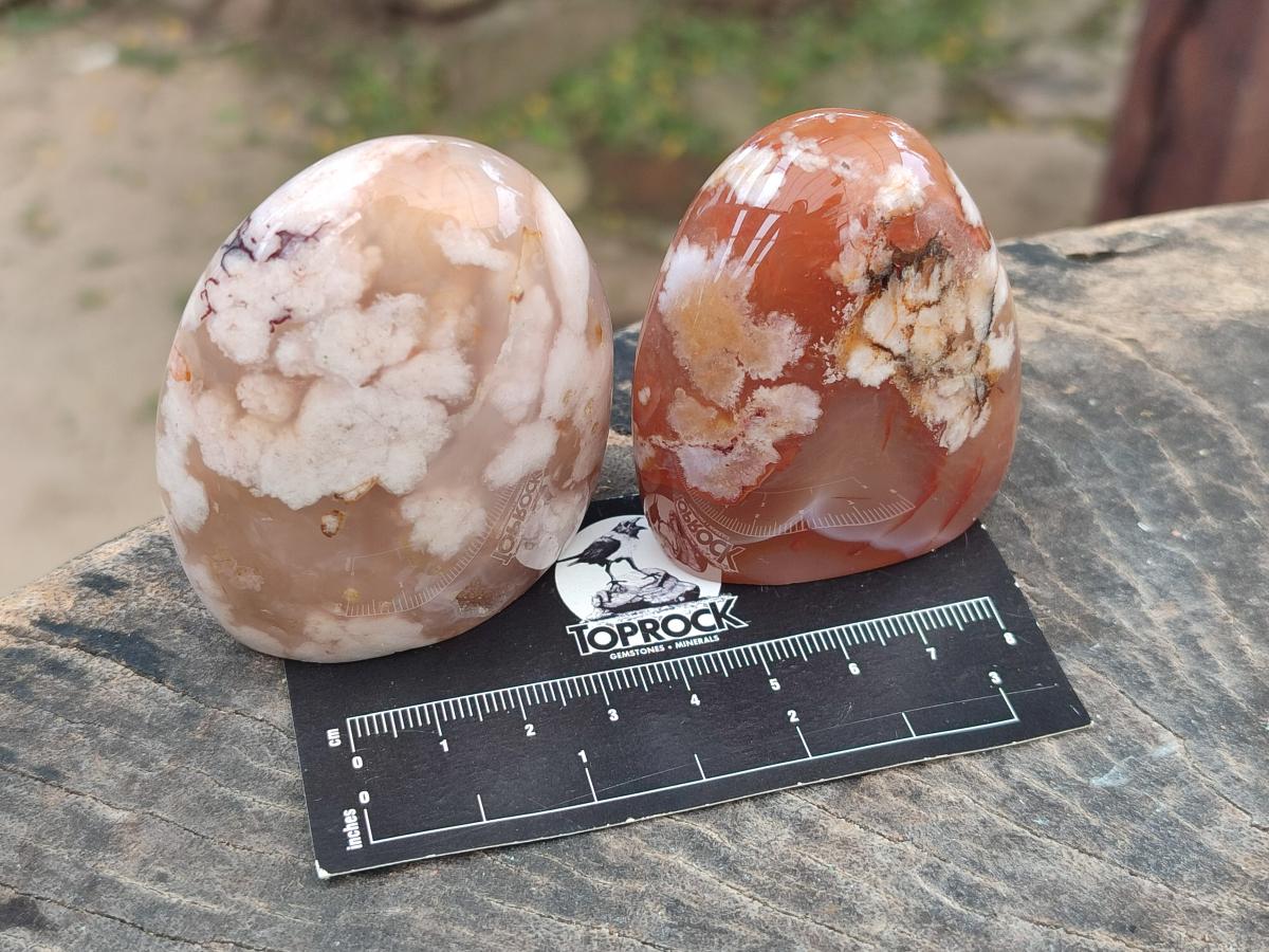 Polished Flower Agate Standing Free Forms x 6 From Antsahalova, Madagascar