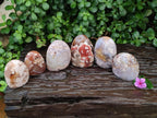 Polished Flower Agate Standing Free Forms x 6 From Antsahalova, Madagascar