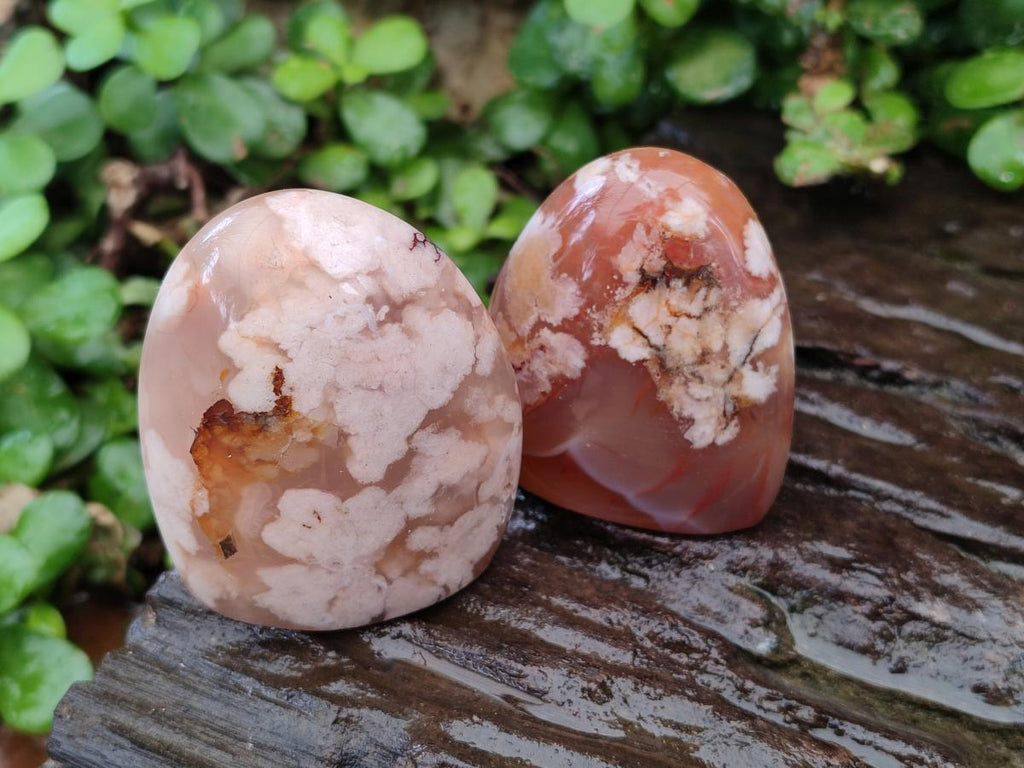 Polished Flower Agate Standing Free Forms x 6 From Antsahalova, Madagascar