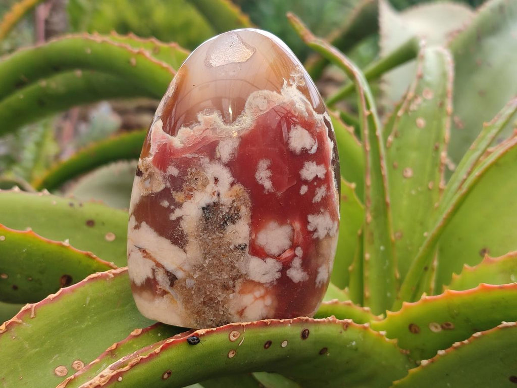 Polished Flower Agate Standing Free Forms x 6 From Antsahalova, Madagascar