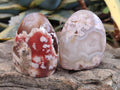 Polished Flower Agate Standing Free Forms x 6 From Antsahalova, Madagascar