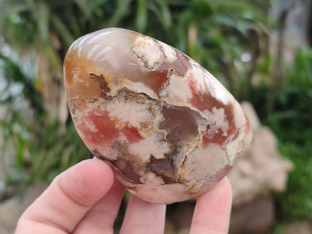 Polished Flower Agate Standing Free Forms x 6 From Antsahalova, Madagascar
