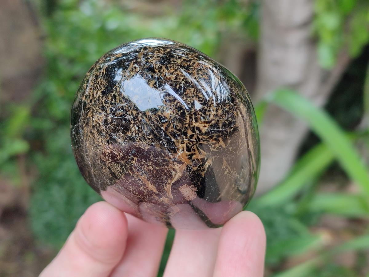 Polished Black Tourmaline Standing Free Forms x 4 From Madagascar