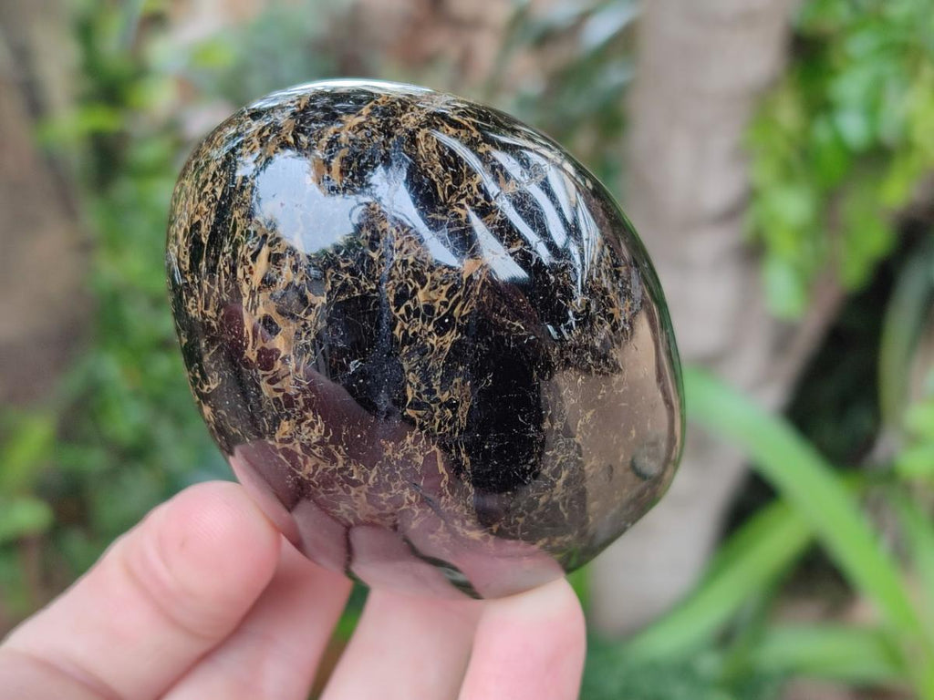 Polished Black Tourmaline Standing Free Forms x 4 From Madagascar