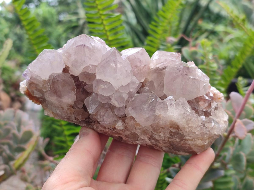 Natural Amethyst and Ametrine Spirit Clusters x 3 From Boekenhouthoek, South Africa
