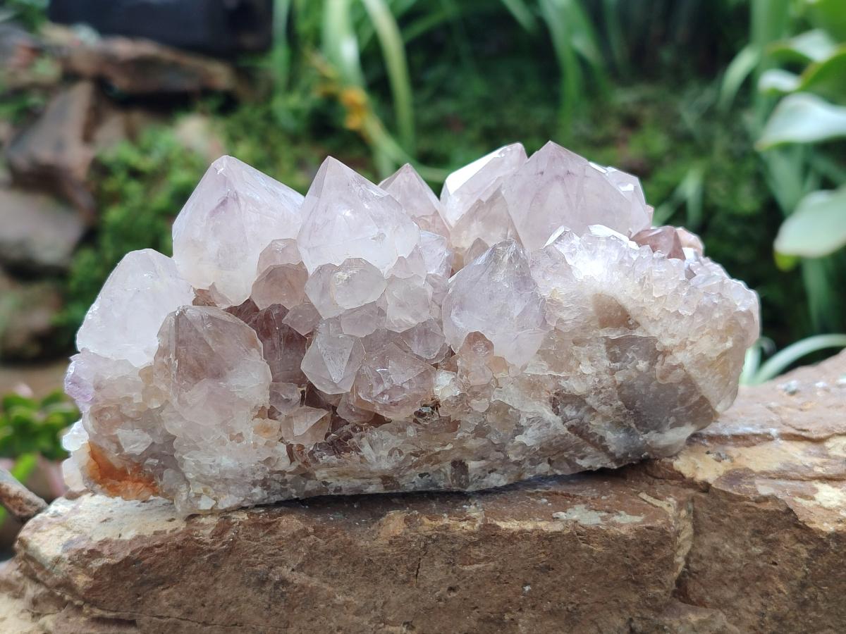 Natural Amethyst and Ametrine Spirit Clusters x 3 From Boekenhouthoek, South Africa