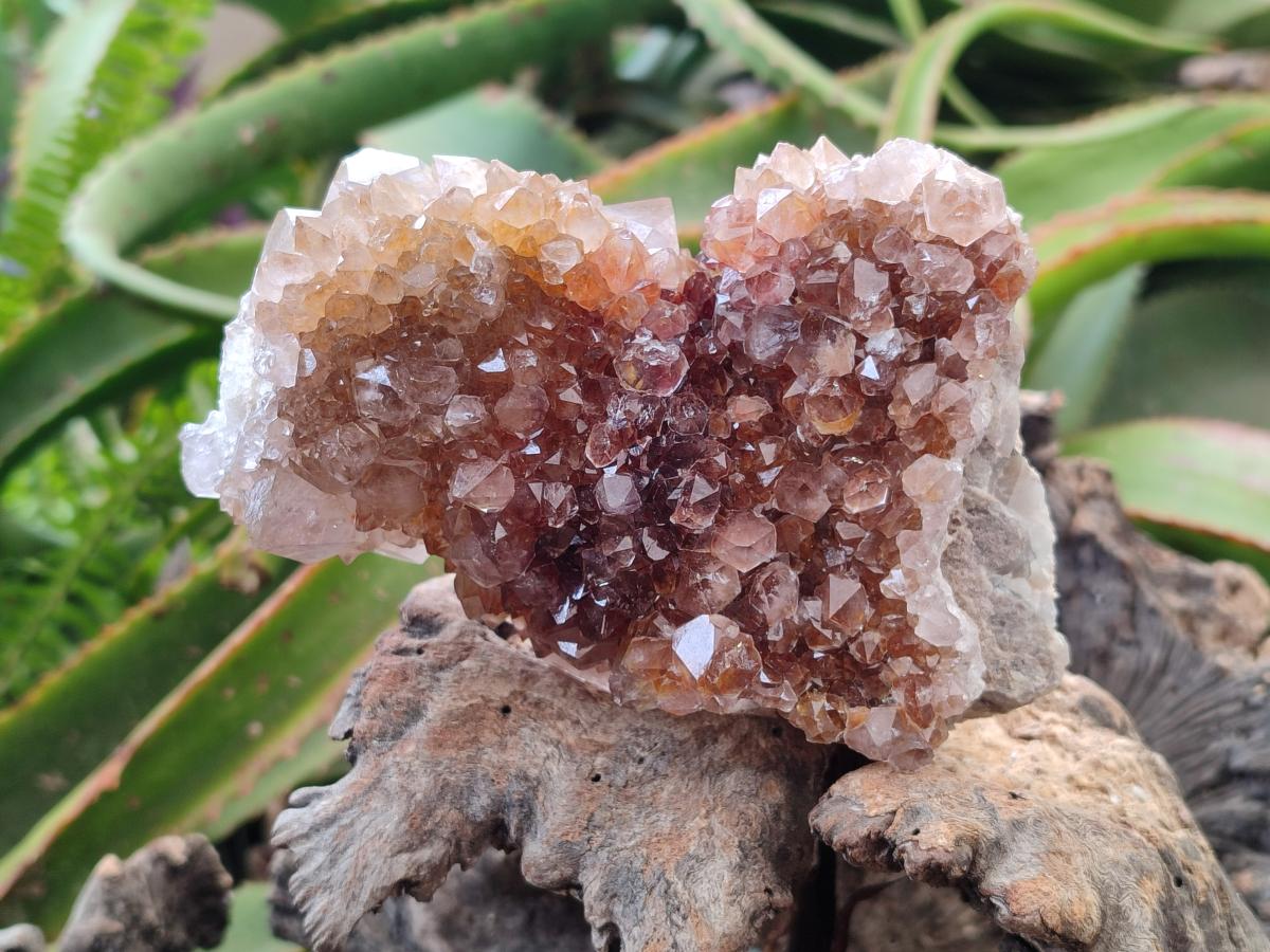 Natural Amethyst and Ametrine Spirit Clusters x 3 From Boekenhouthoek, South Africa