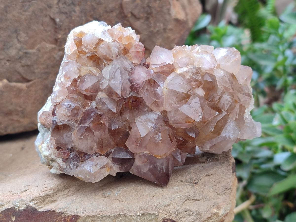 Natural Amethyst and Ametrine Spirit Clusters x 3 From Boekenhouthoek, South Africa