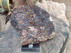 Natural XL Goethite Coated Blacknite Quartz Cluster x 1 From Madagascar - Toprock Gemstones and Minerals 