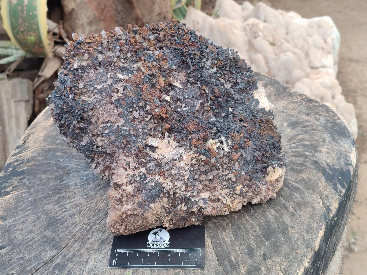 Natural XL Goethite Coated Blacknite Quartz Cluster x 1 From Madagascar - Toprock Gemstones and Minerals 