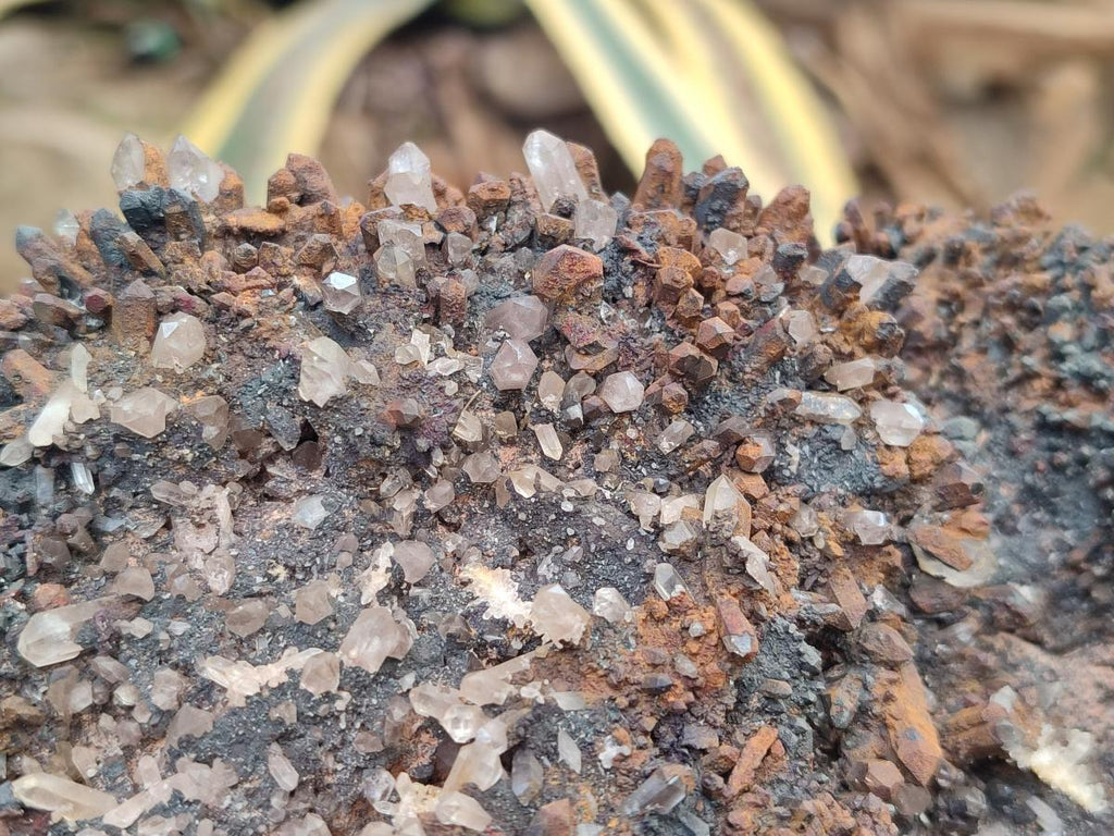 Natural XL Goethite Coated Blacknite Quartz Cluster x 1 From Madagascar - Toprock Gemstones and Minerals 