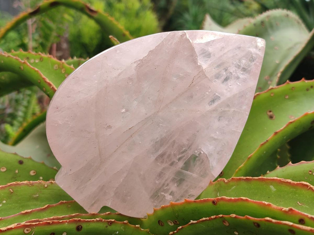 Hand Made Gemmy Rose Quartz Leaf Bowl Carvings x 3 From Madagascar