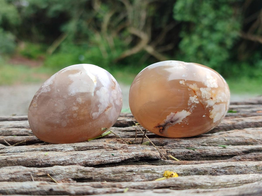 Polished Flower Agate Palm Stone x 20 From Antsahalova, Madagascar