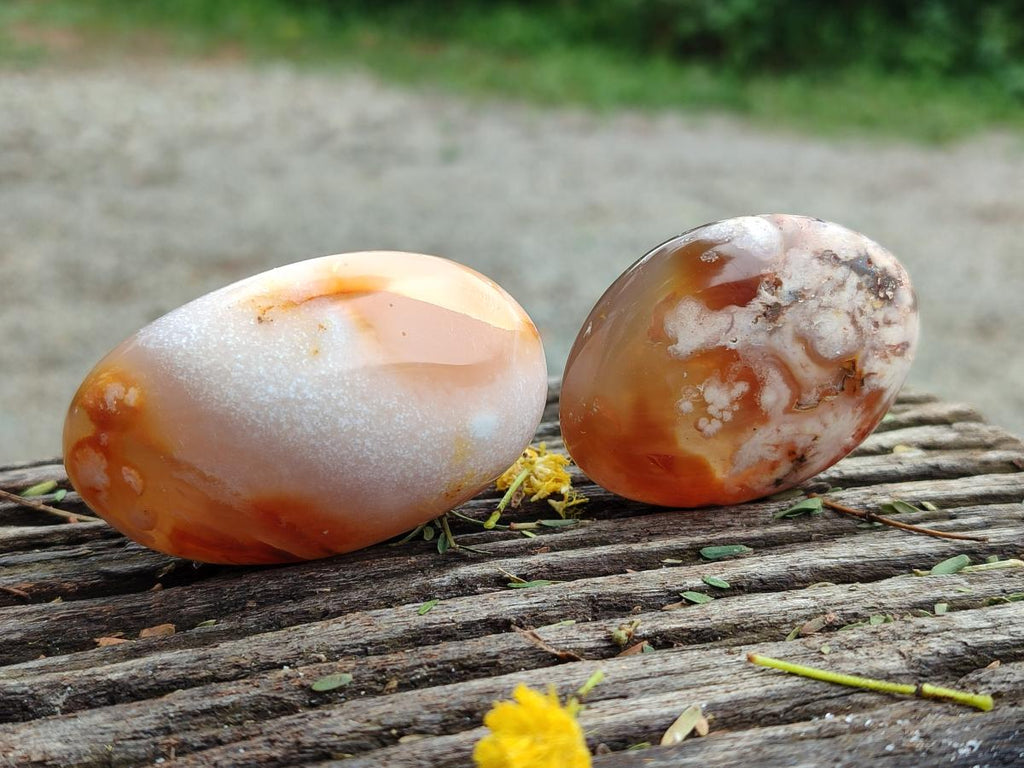 Polished Flower Agate Palm Stone x 20 From Antsahalova, Madagascar