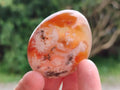 Polished Flower Agate Palm Stone x 20 From Antsahalova, Madagascar