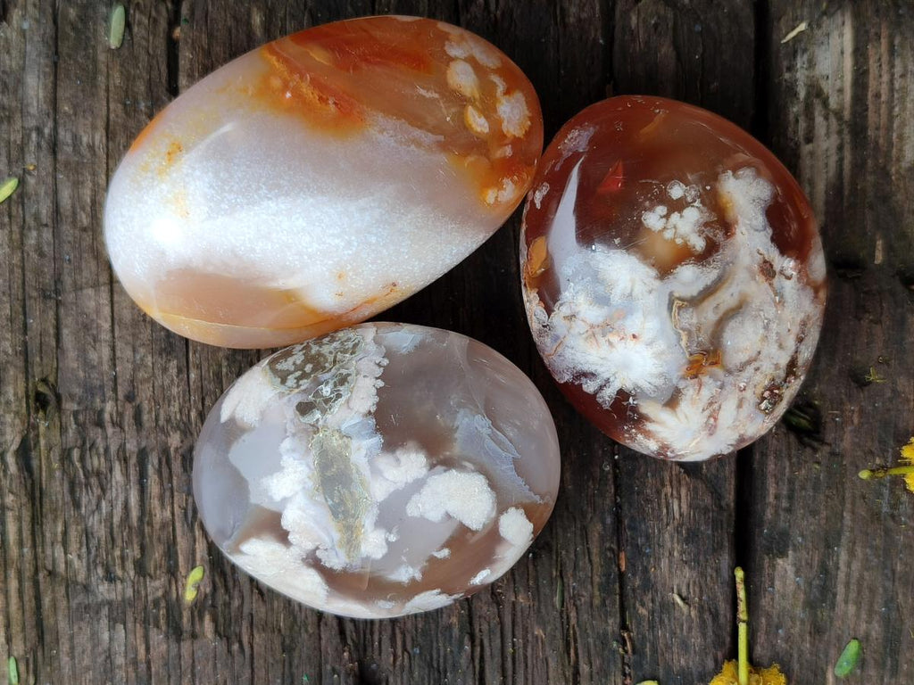 Polished Flower Agate Palm Stone x 20 From Antsahalova, Madagascar