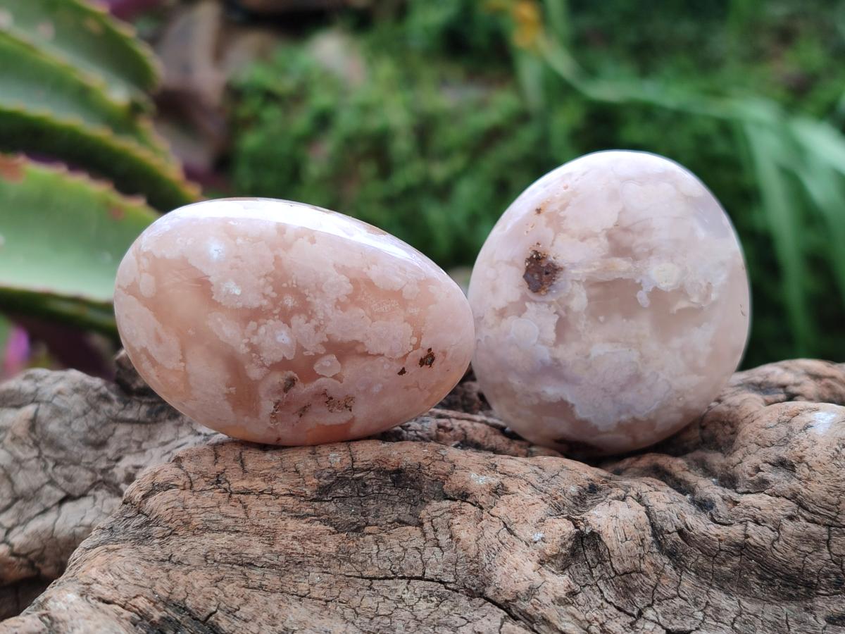 Polished Flower Agate Palm Stone x 20 From Antsahalova, Madagascar