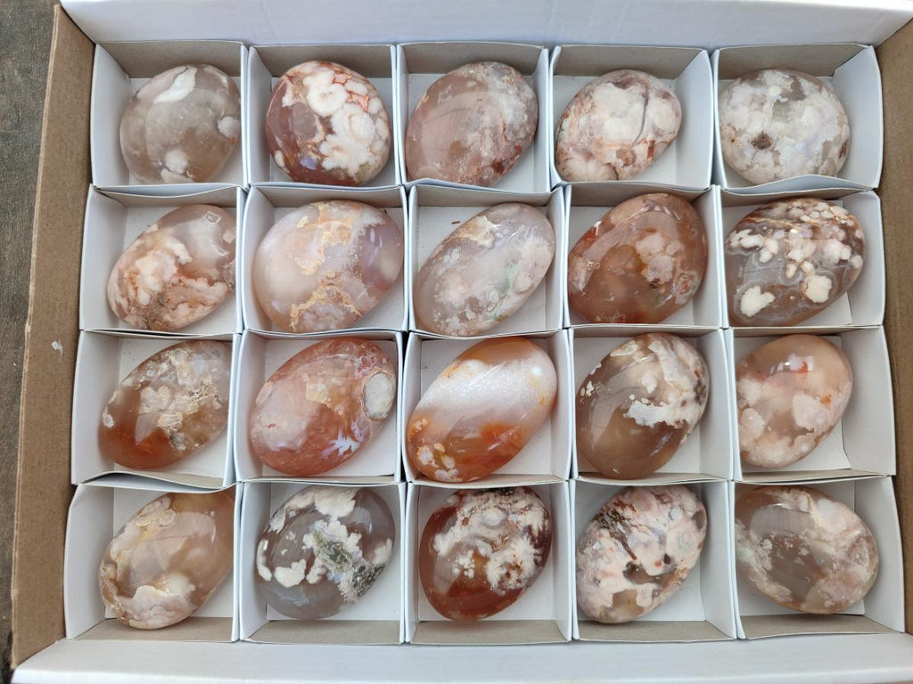 Polished Flower Agate Palm Stone x 20 From Antsahalova, Madagascar