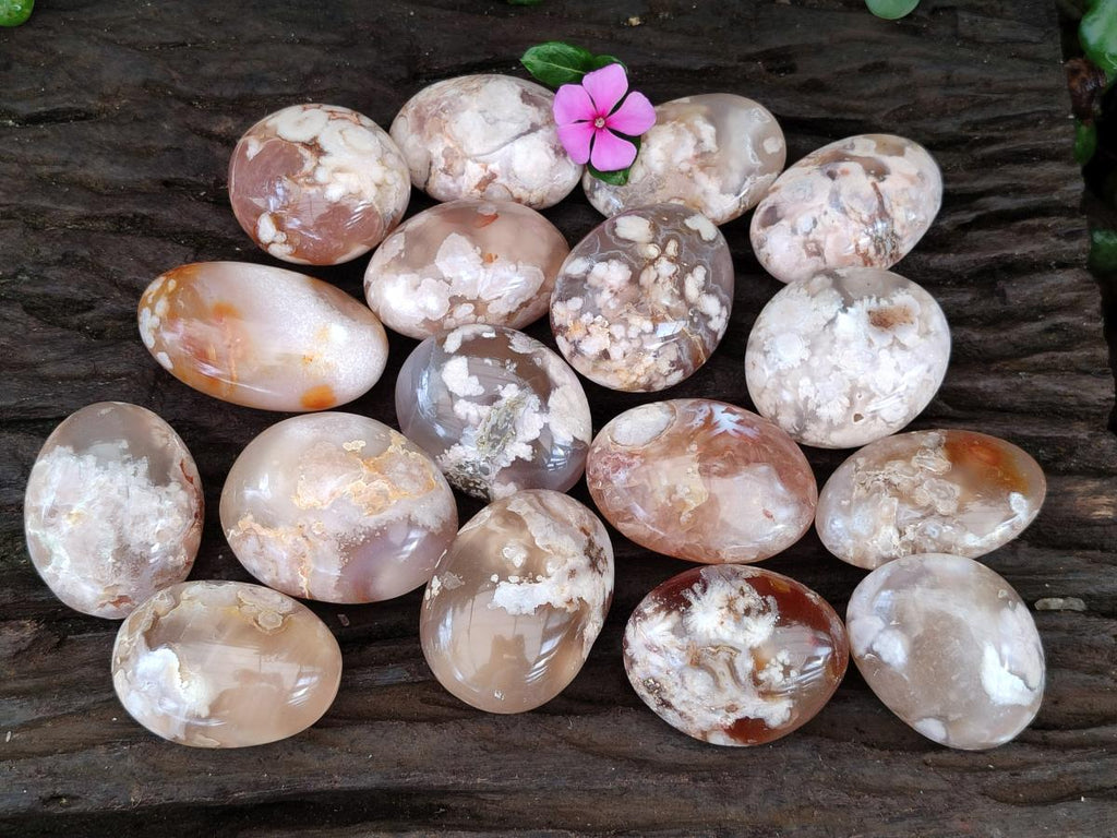 Polished Flower Agate Palm Stone x 20 From Antsahalova, Madagascar