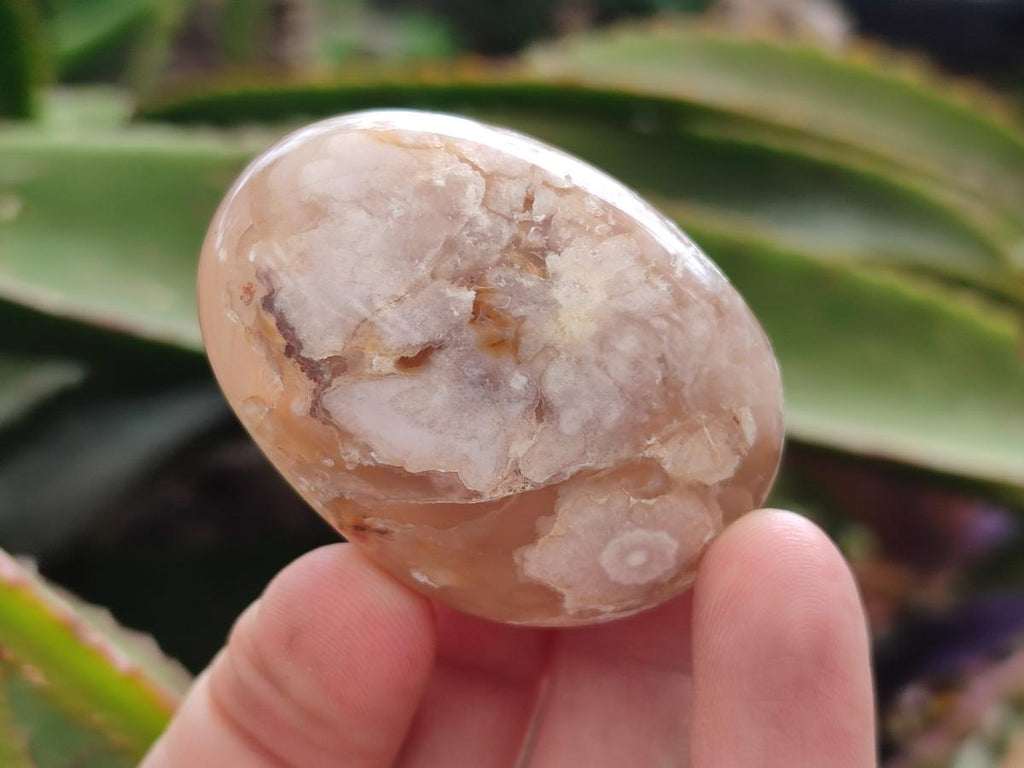 Polished Flower Agate Palm Stone x 20 From Antsahalova, Madagascar
