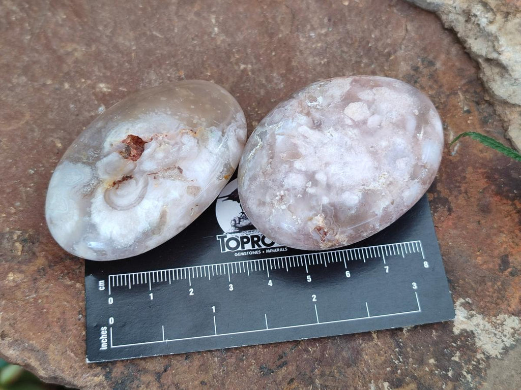 Polished Flower Agate Palm Stone x 20 From Antsahalova, Madagascar