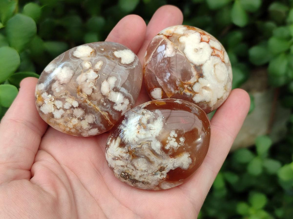 Polished Flower Agate Palm Stone x 20 From Antsahalova, Madagascar