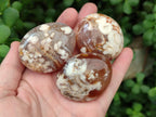 Polished Flower Agate Palm Stone x 20 From Antsahalova, Madagascar
