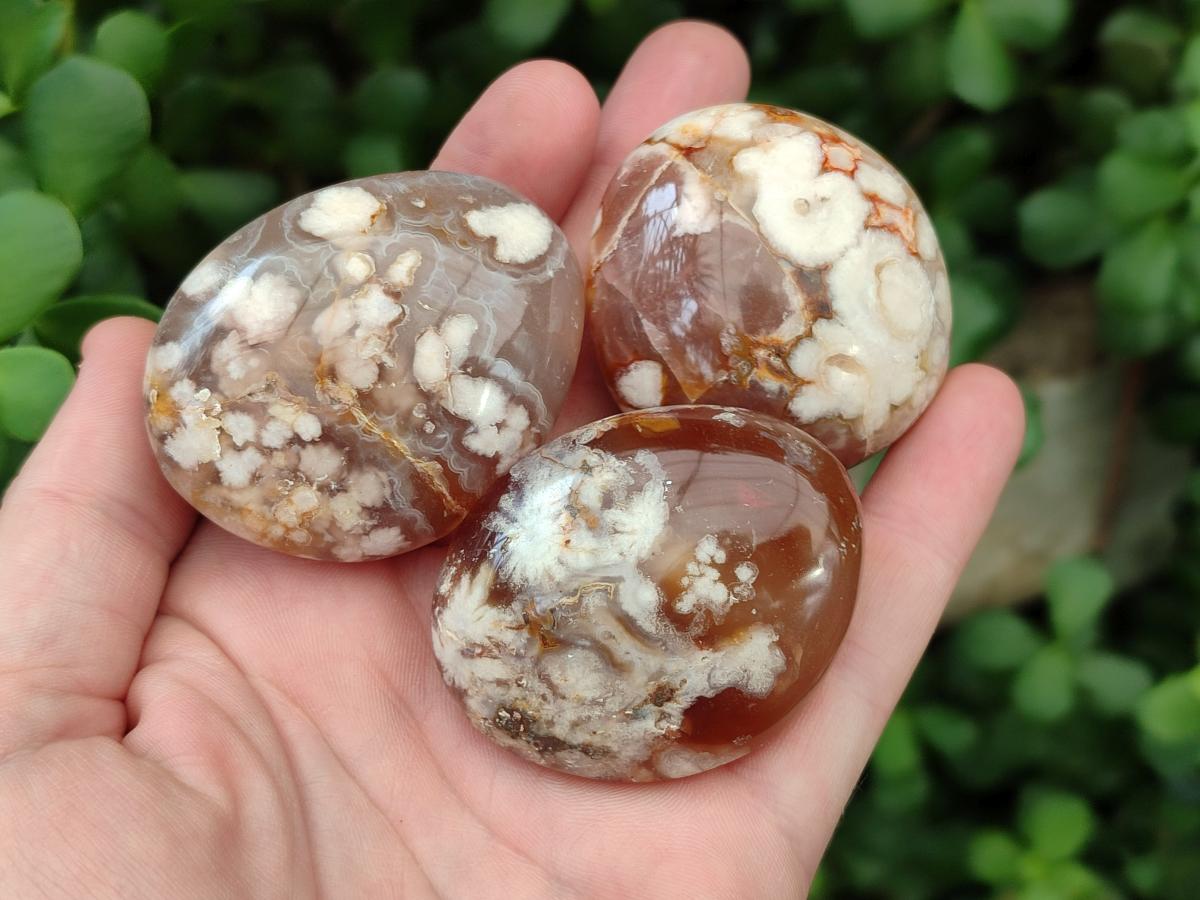 Polished Flower Agate Palm Stone x 20 From Antsahalova, Madagascar